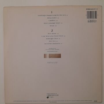 Chris Rea ‎– Water Sign