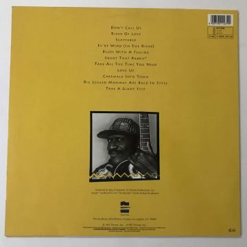 Taj Mahal – Like Never Before