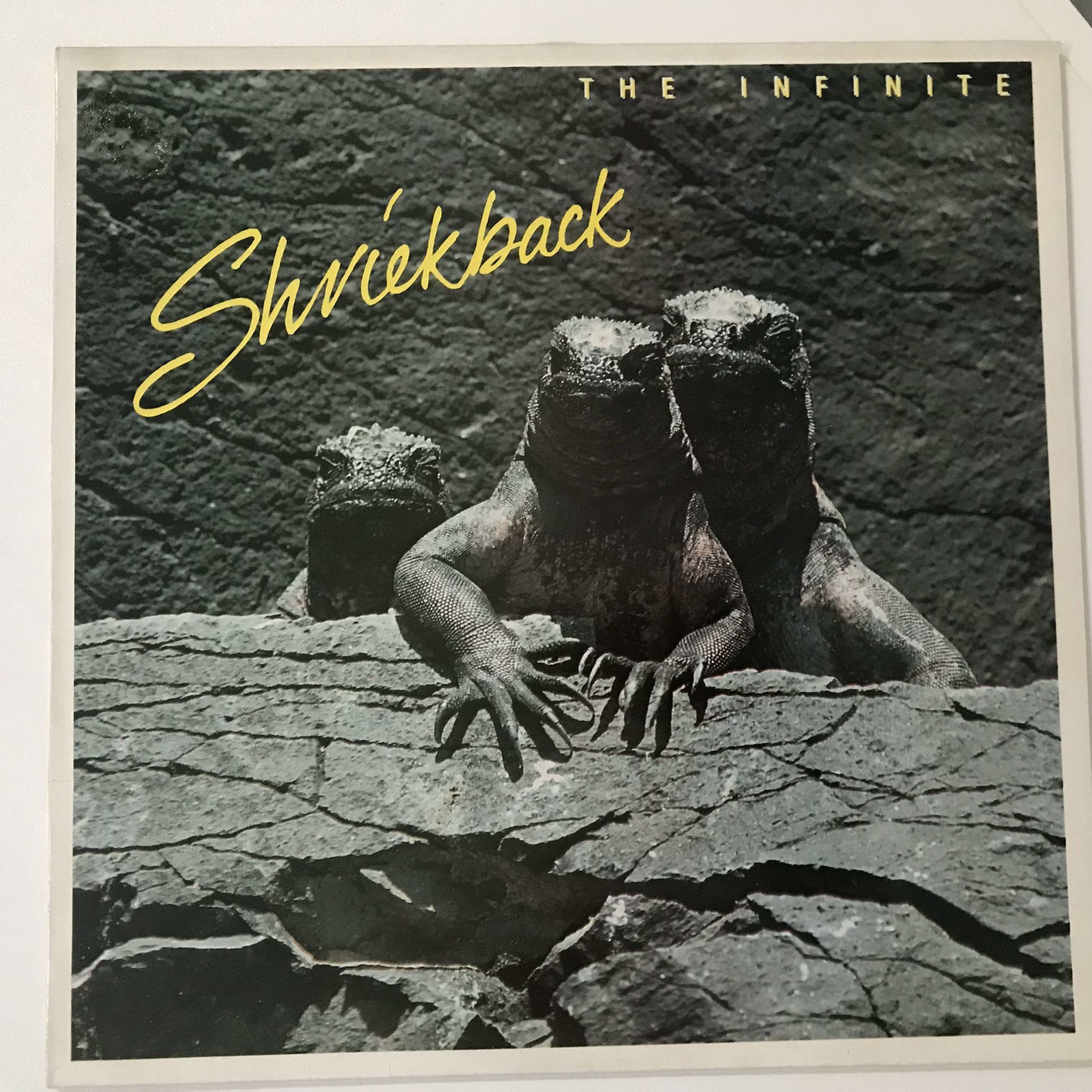 Shriekback – The Infinite
