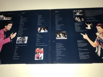 Cliff Richard ‎– From A Distance - The Event 2 LP