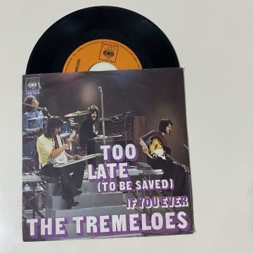 The Tremeloes – Too Late (To Be Saved)