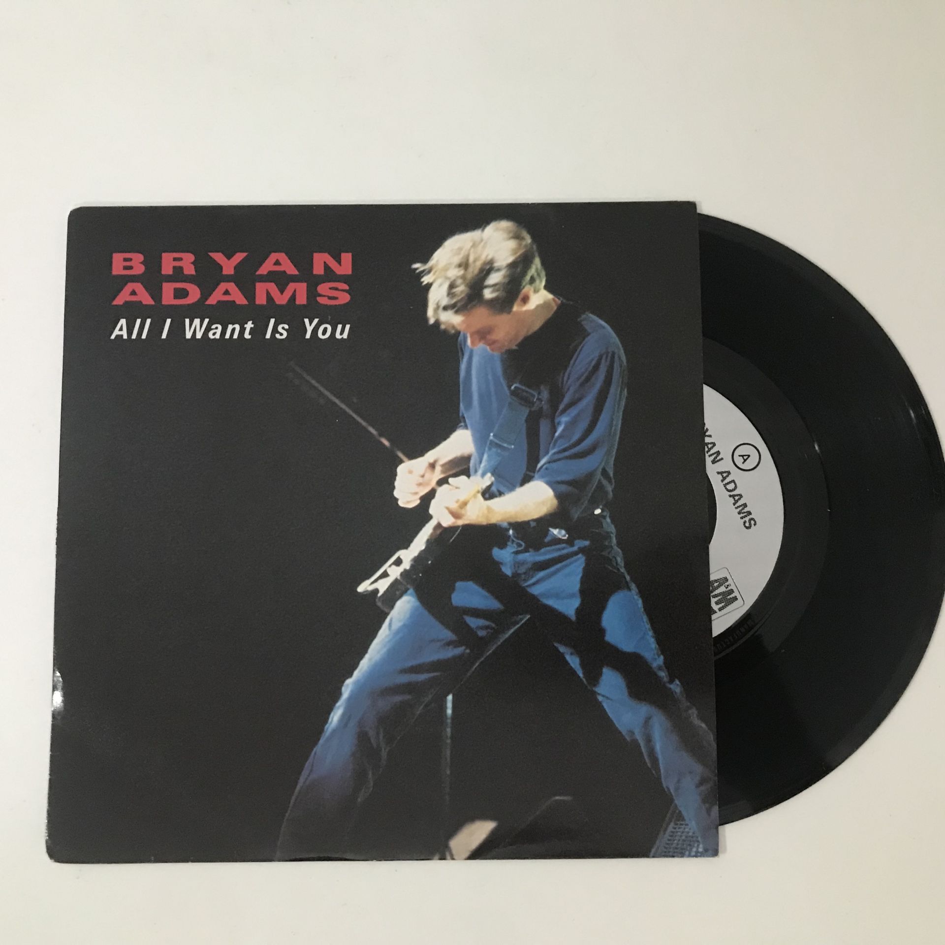 Bryan Adams – All I Want Is You