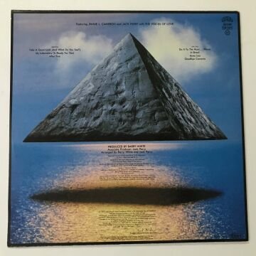 The Love Unlimited Orchestra – Rise