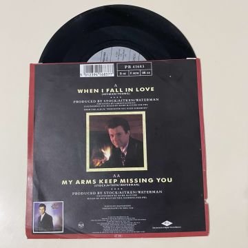 Rick Astley – When I Fall In Love / My Arms Keep Missing You