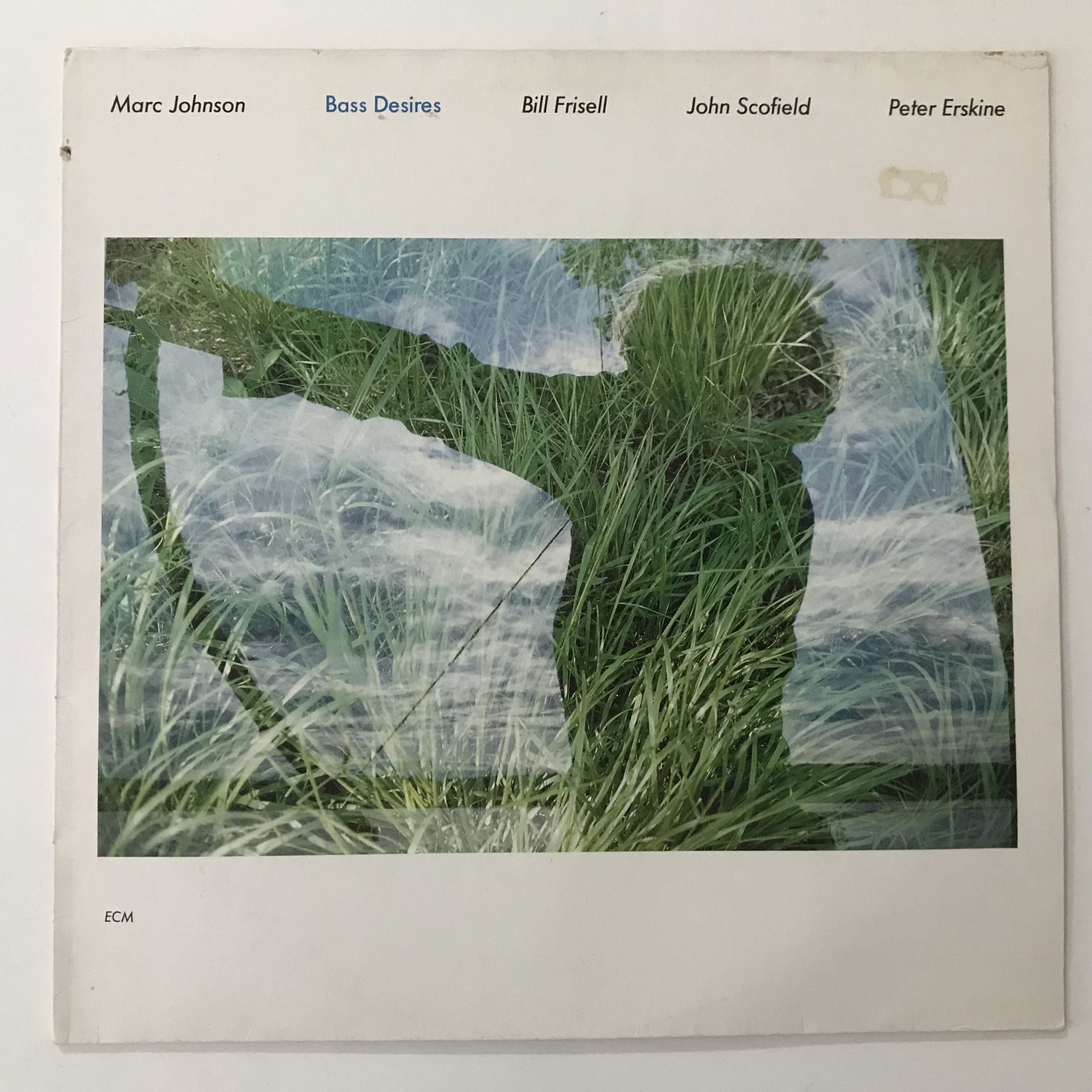 Marc Johnson – Bass Desires