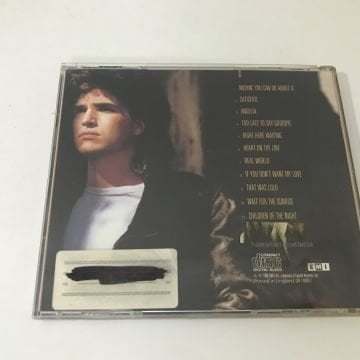 Richard Marx – Repeat Offender