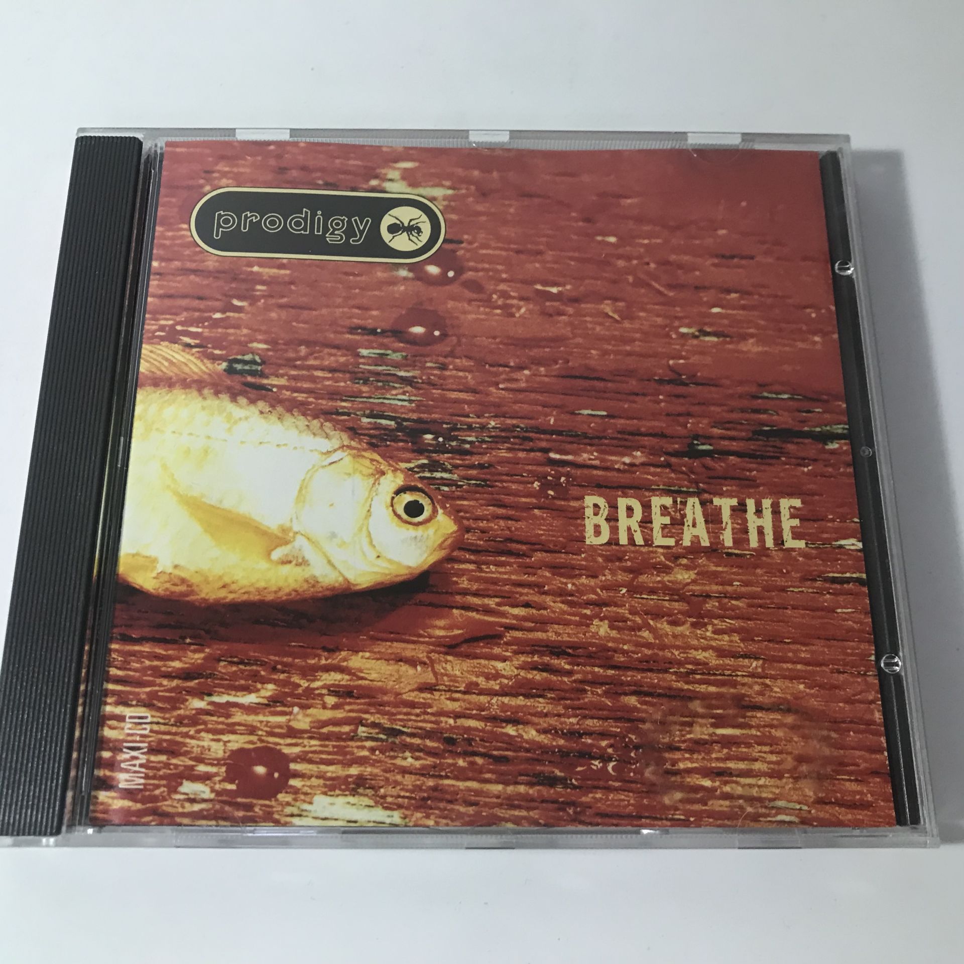 Prodigy – Breathe