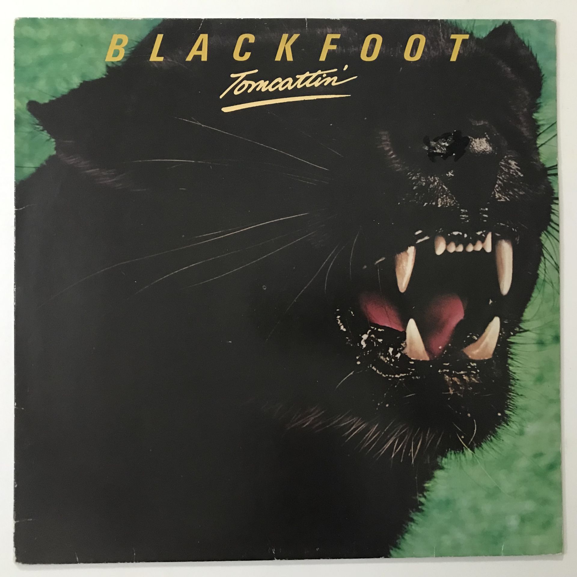 Blackfoot – Tomcattin'