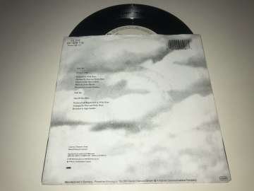 Enya – Orinoco Flow