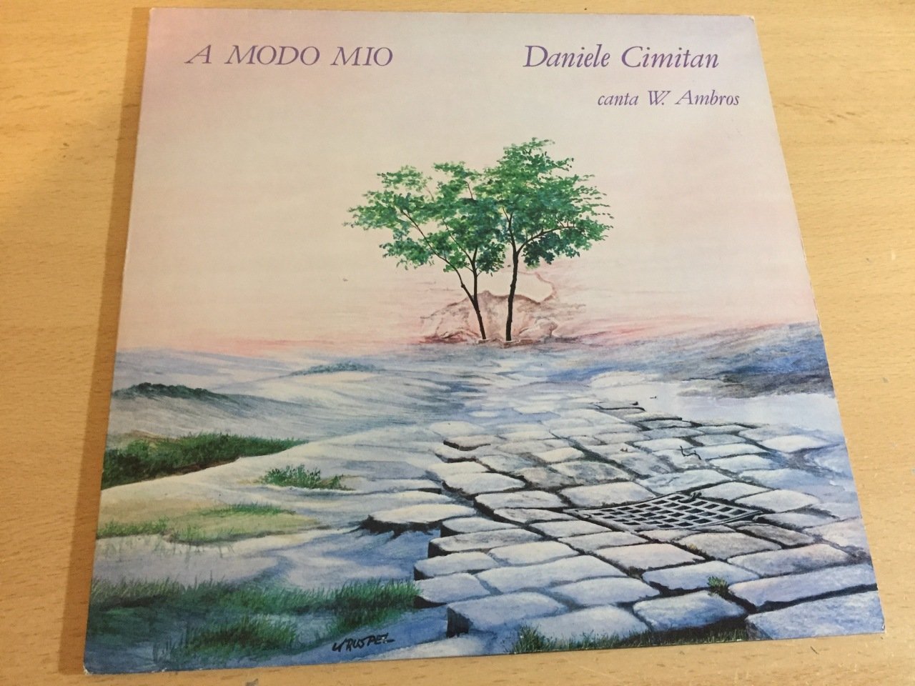 Daniele Cimitan ‎– A Modo Mio (Daniele Cimitan Canta W. Ambros)