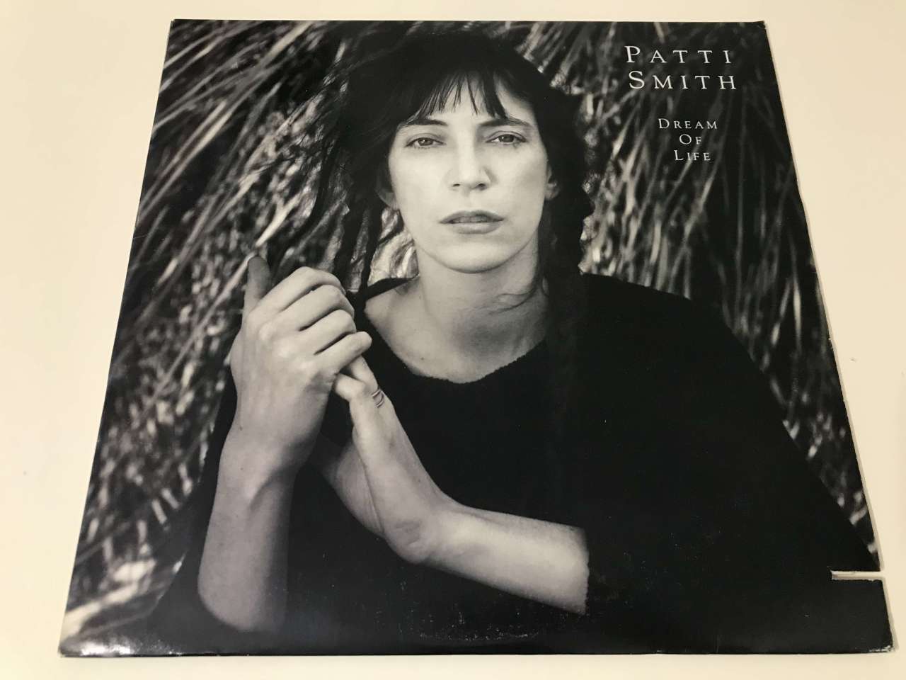 Patti Smith ‎– Dream Of Life