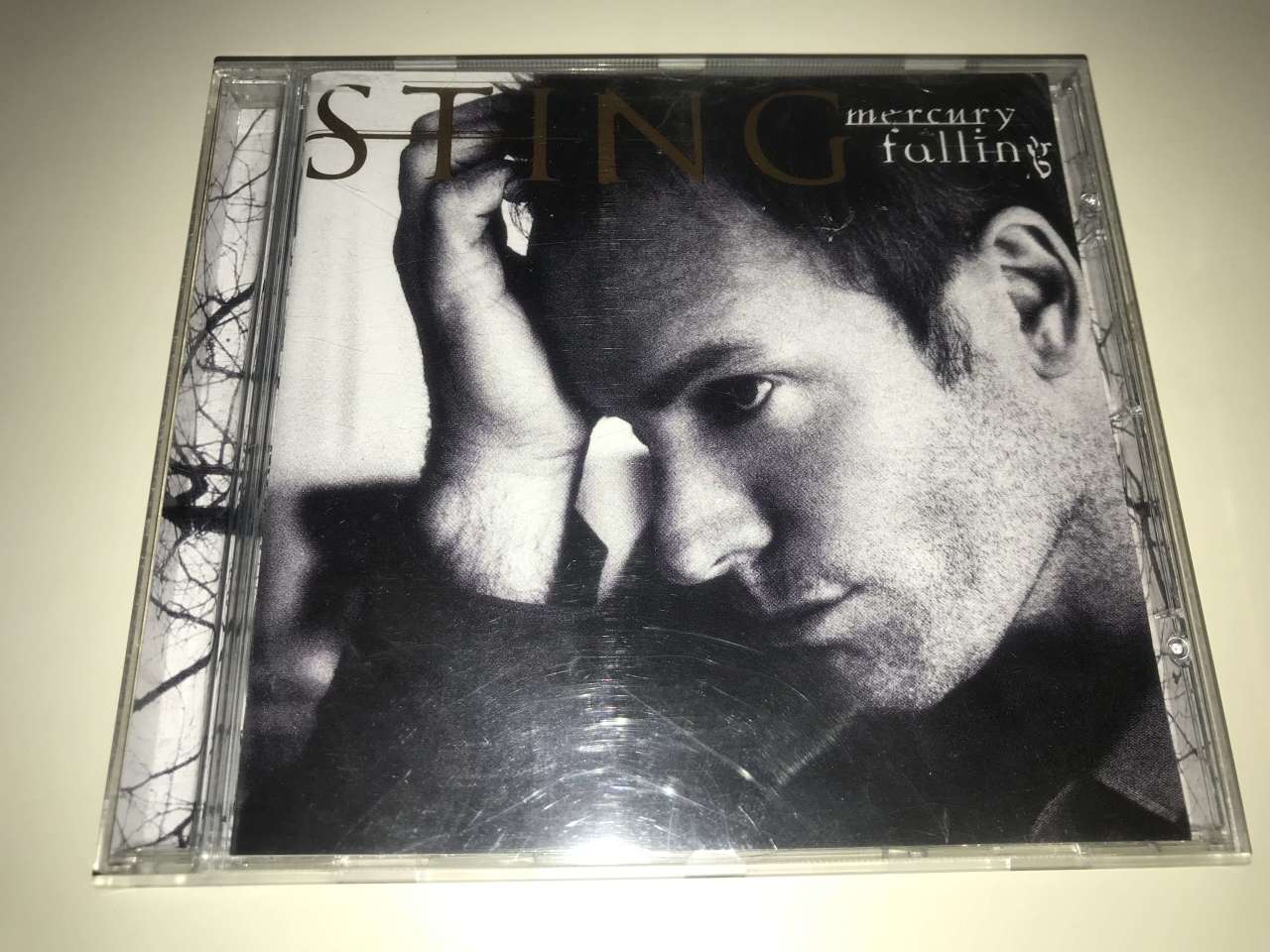 Sting – Mercury Falling