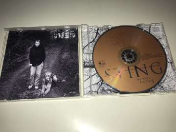 Sting – Mercury Falling