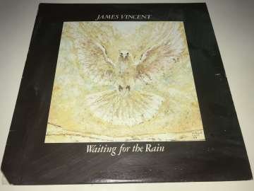 James Vincent ‎– Waiting For The Rain