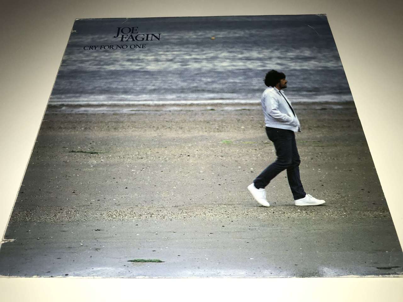 Joe Fagin ‎– Cry For No One
