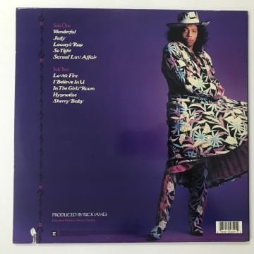 Rick James – Wonderful