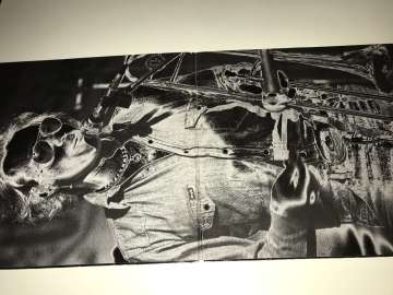 Country Joe McDonald ‎– Into The Fray 2 LP
