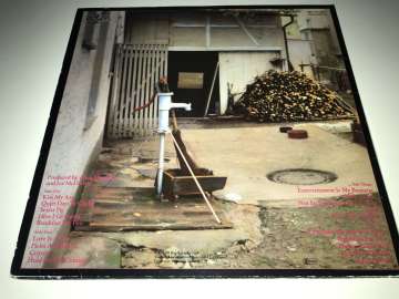 Country Joe McDonald ‎– Into The Fray 2 LP