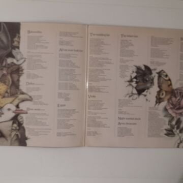 Kate Bush ‎– Never For Ever