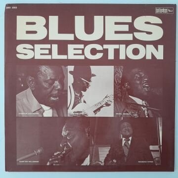 Blues Selection Vol II 2 LP