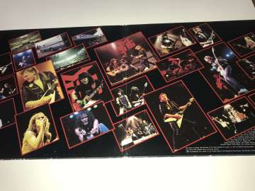 The Michael Schenker Group -MSG - One Night At Budokan 2 LP