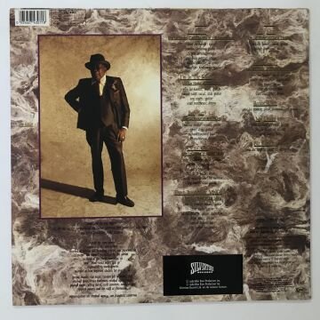 John Lee Hooker ‎– The Healer