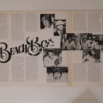 The Beach Boys ‎– The Very Best Of The Beach Boys 2LP