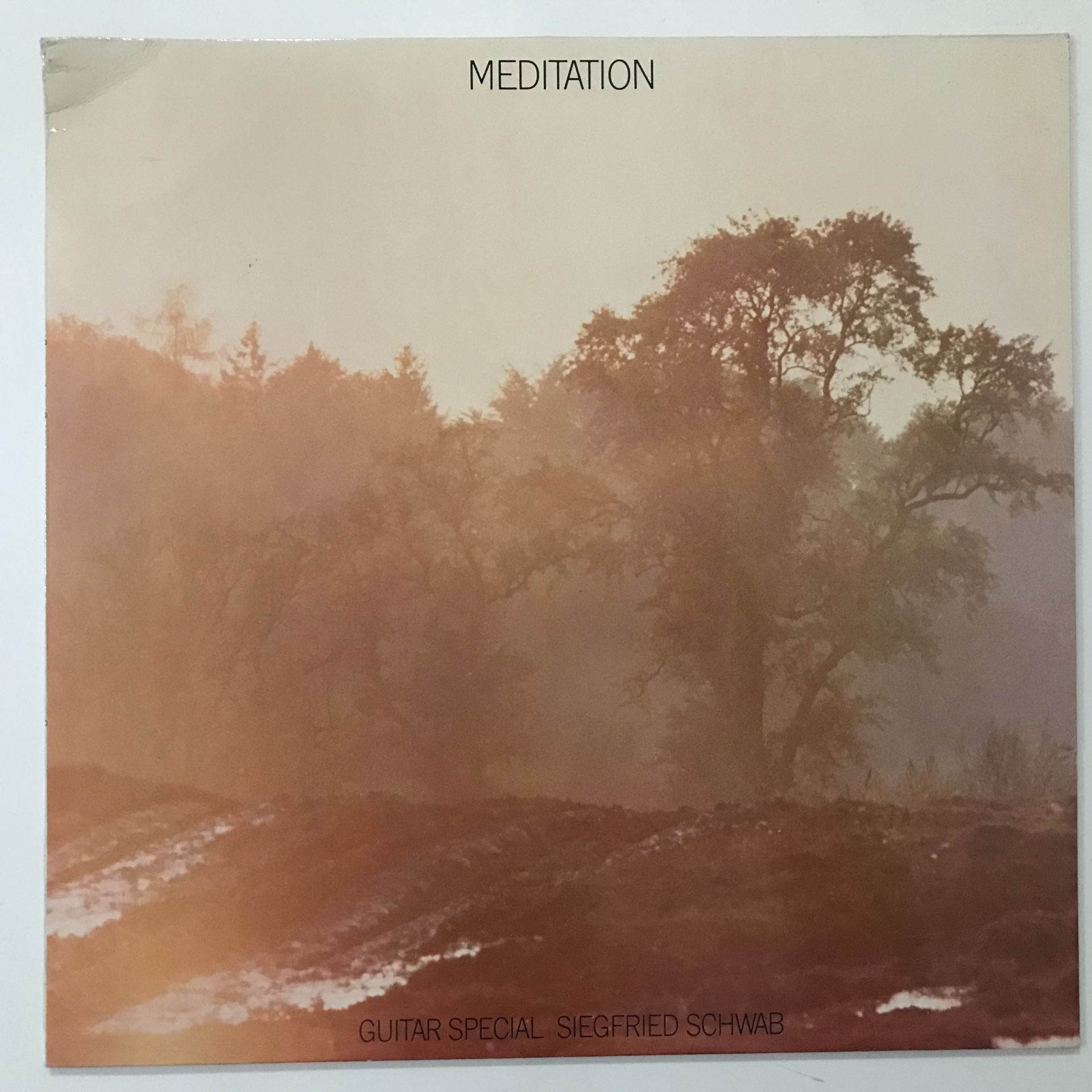 Siegfried Schwab – Meditation