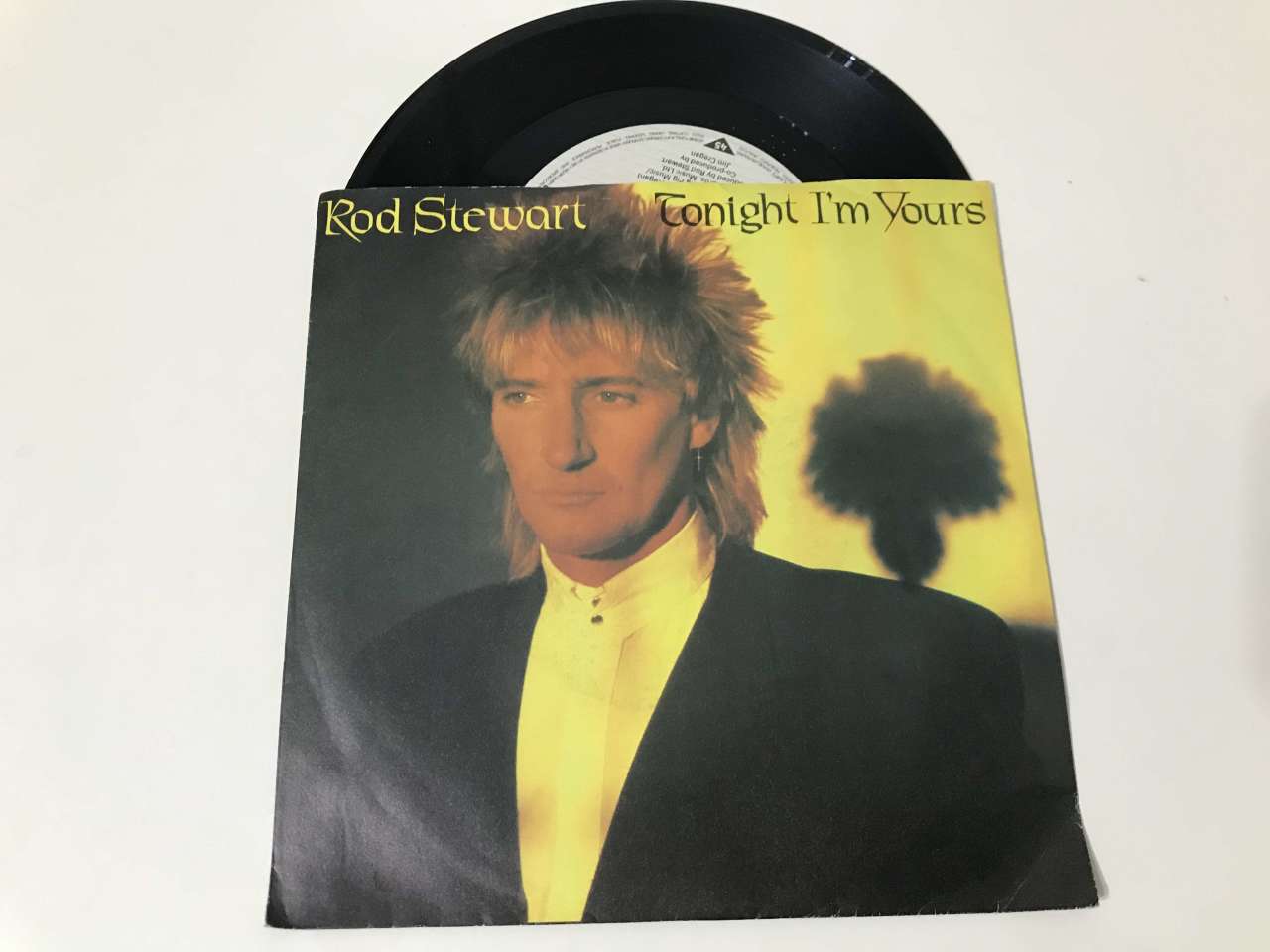 Rod Stewart – Tonight I'm Yours