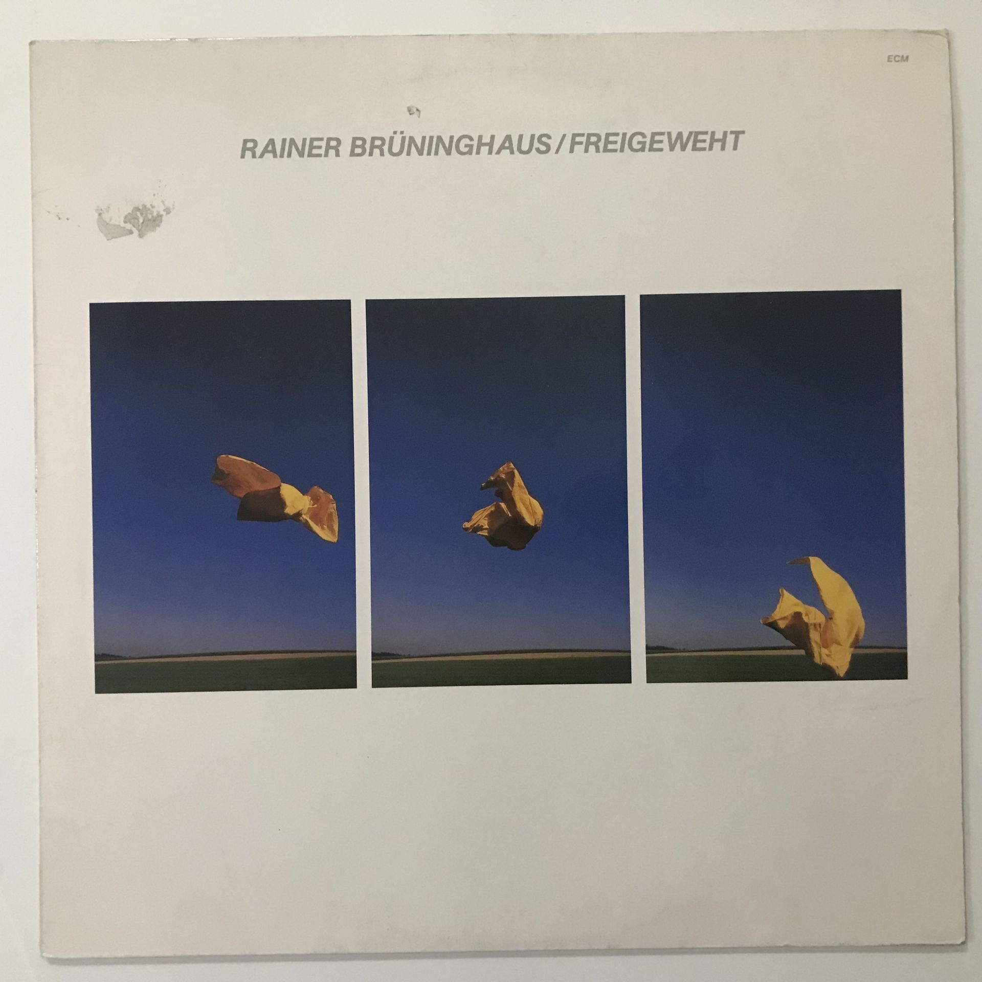 Rainer Brüninghaus – Freigeweht
