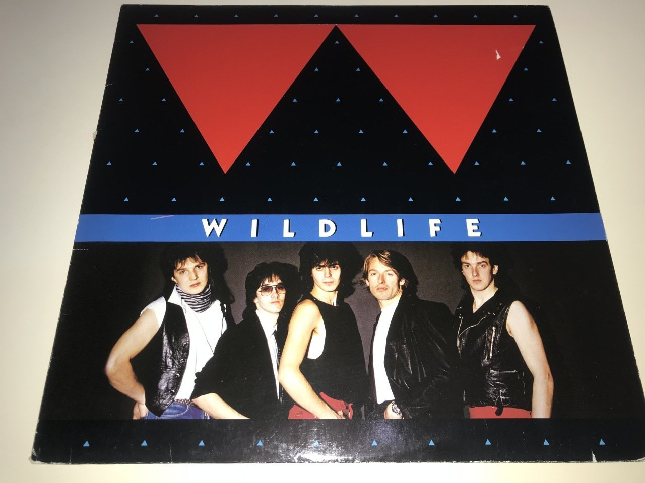 Wildlife – Wildlife