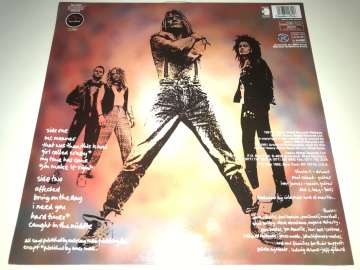 The Wild Ones ‎– Writing On The Wall