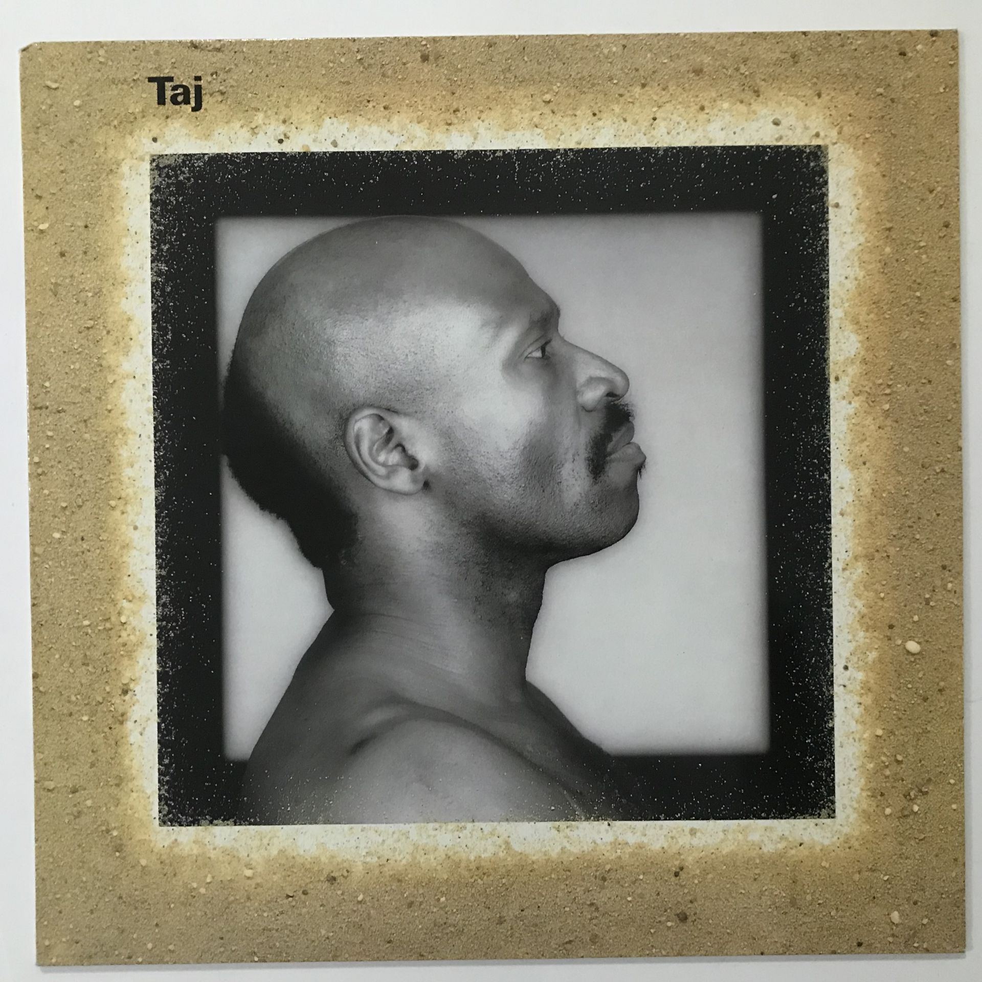 Taj Mahal – Taj