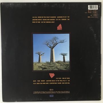Pink Floyd – Delicate Sound Of Thunder 2 LP