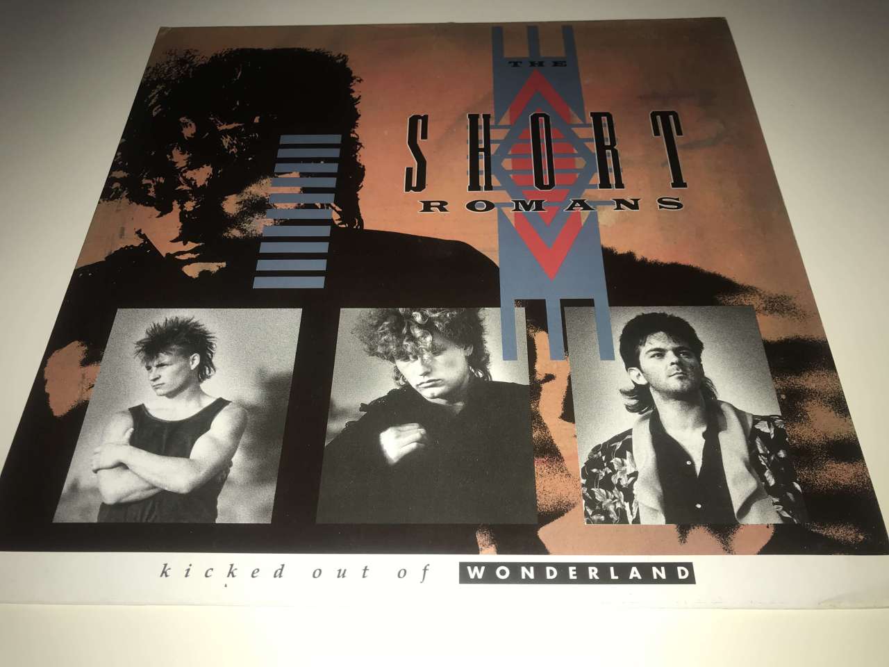 The Short Romans ‎– Kicked Out Of Wonderland