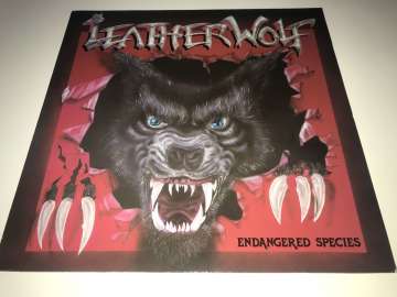 Leatherwolf ‎– Leatherwolf