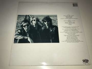 The Woods ‎– It's Like This