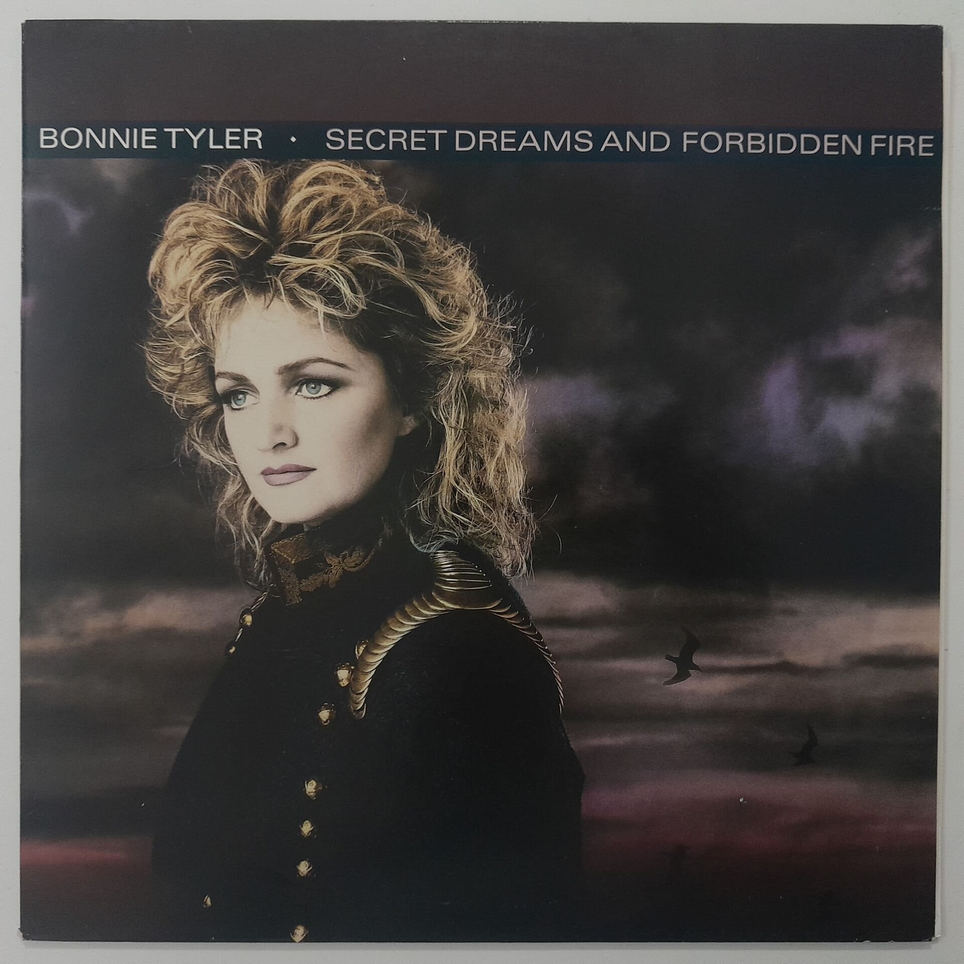Bonnie Tyler – Secret Dreams And Forbidden Fire