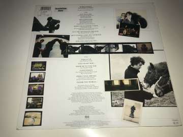 World Party ‎– Goodbye Jumbo