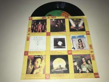Bette Midler ‎– Beast Of Burden