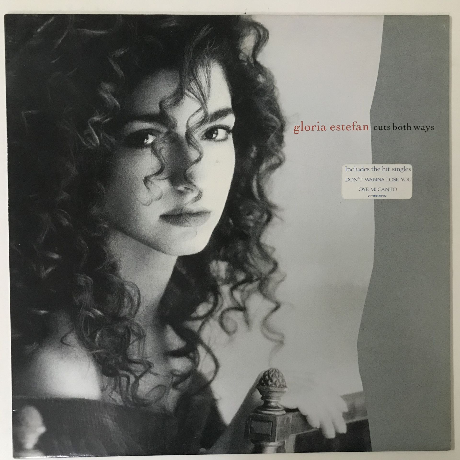 Gloria Estefan – Cuts Both Ways