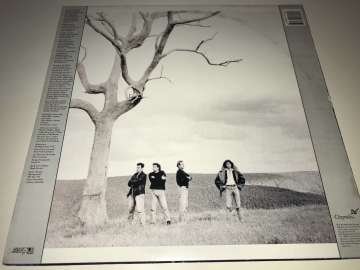 Venetians ‎– Amazing World