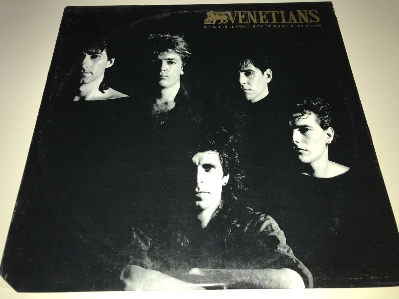 Venetians ‎– Calling In The Lions
