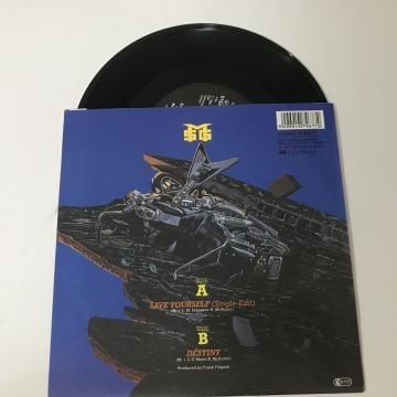McAuley Schenker Group – Save Yourself