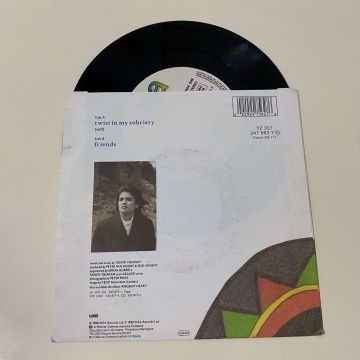 Tanita Tikaram – Twist In My Sobriety