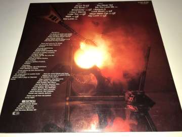 Vic Vergat ‎– Down To The Bone