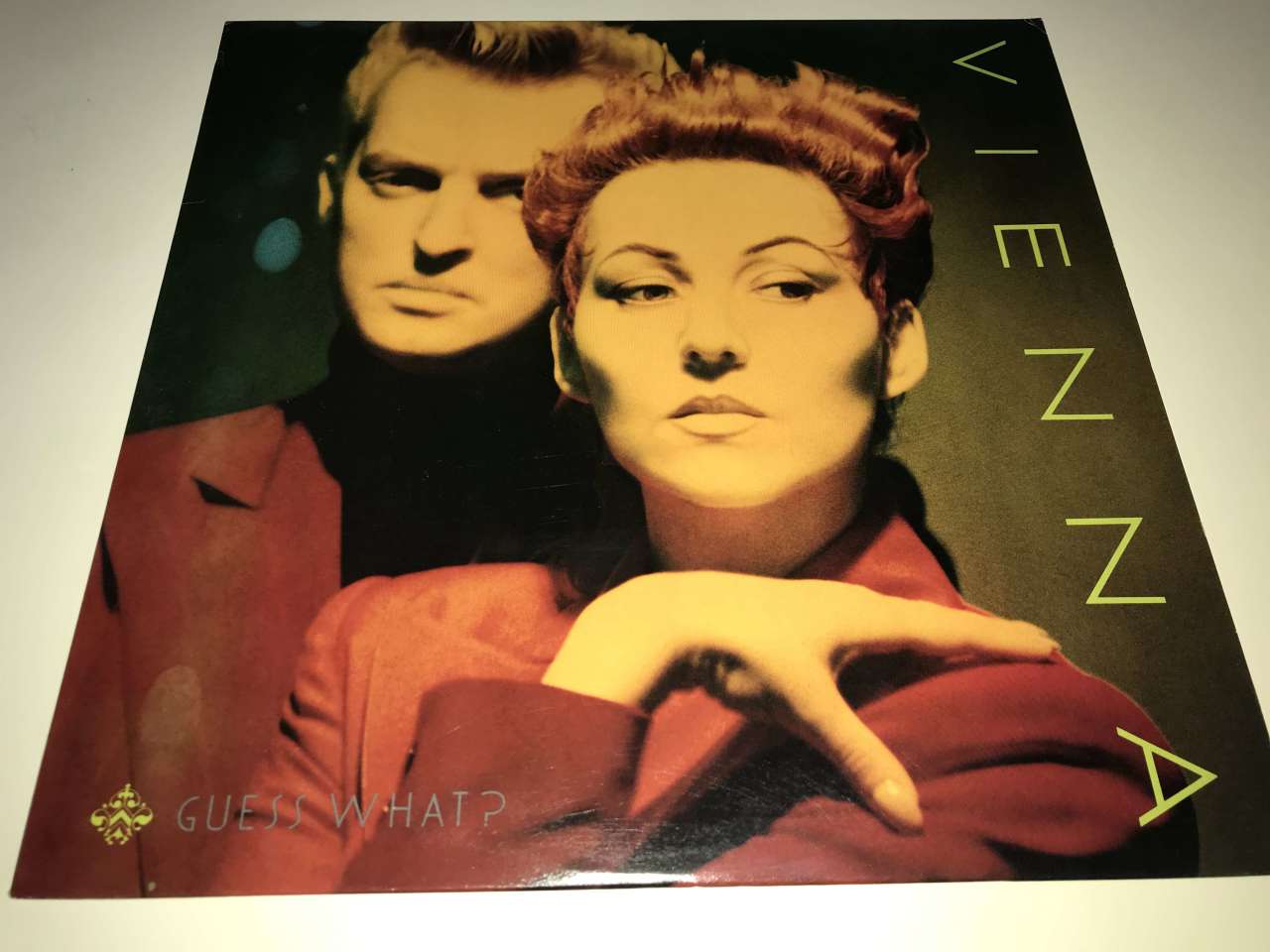 Vienna ‎– Guess What?