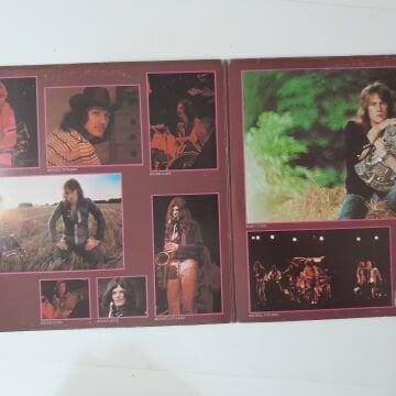 Alvin Lee & Co. – In Flight 2 LP