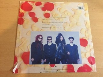 Dead Or Alive ‎– I'll Save You All My Kisses