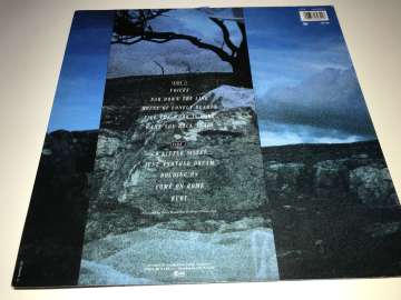Vision Fields ‎– Voices